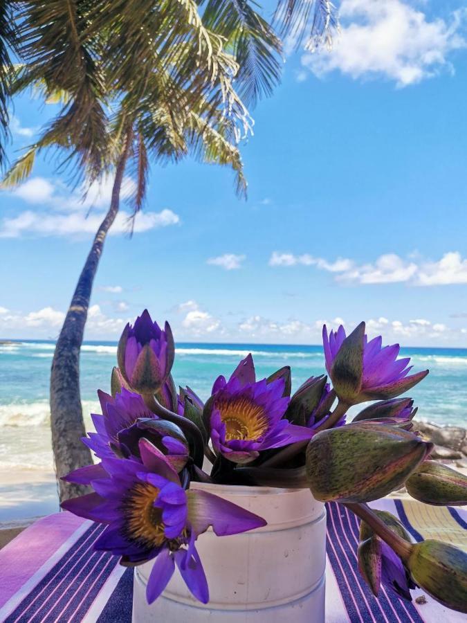 The Beach House Apartment ดิคเวลลา ภายนอก รูปภาพ